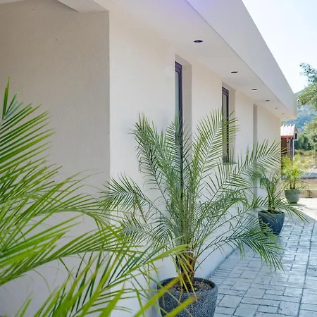 Apartman Marea